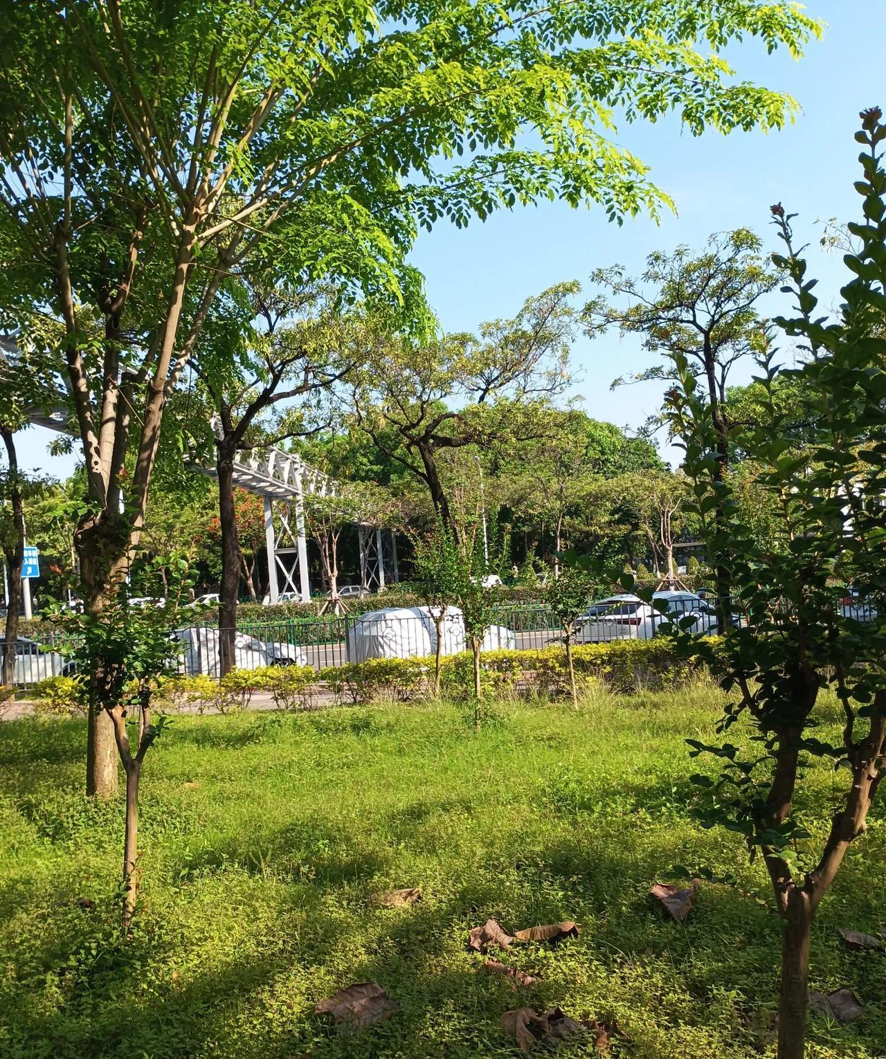 内心愁苦的三大生肖生肖这东西有点玄乎，但说起内心愁苦的三大生肖，还真有点说法。
