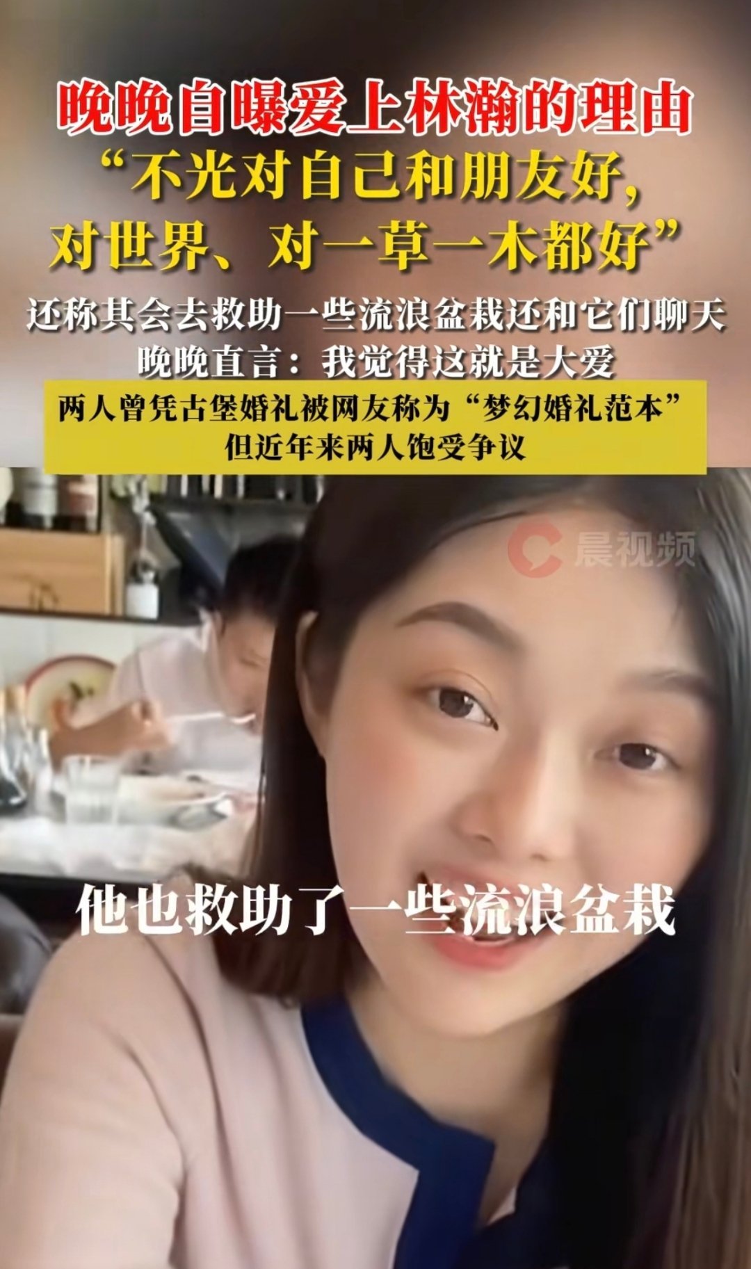 晚晚夸老公林瀚，救助流浪盆栽，还和流浪盆栽聊天，这是大爱​​​
