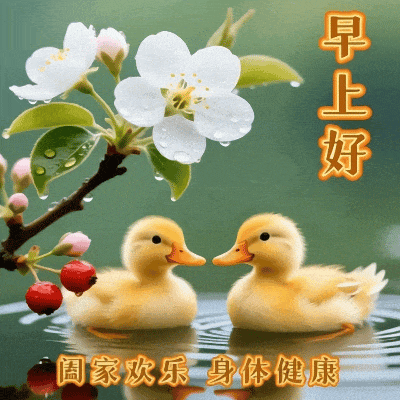 微风穿窗，草木留香。人生如春日花开，各有各的时节，不必追赶别人的脚步，只须丰盈自