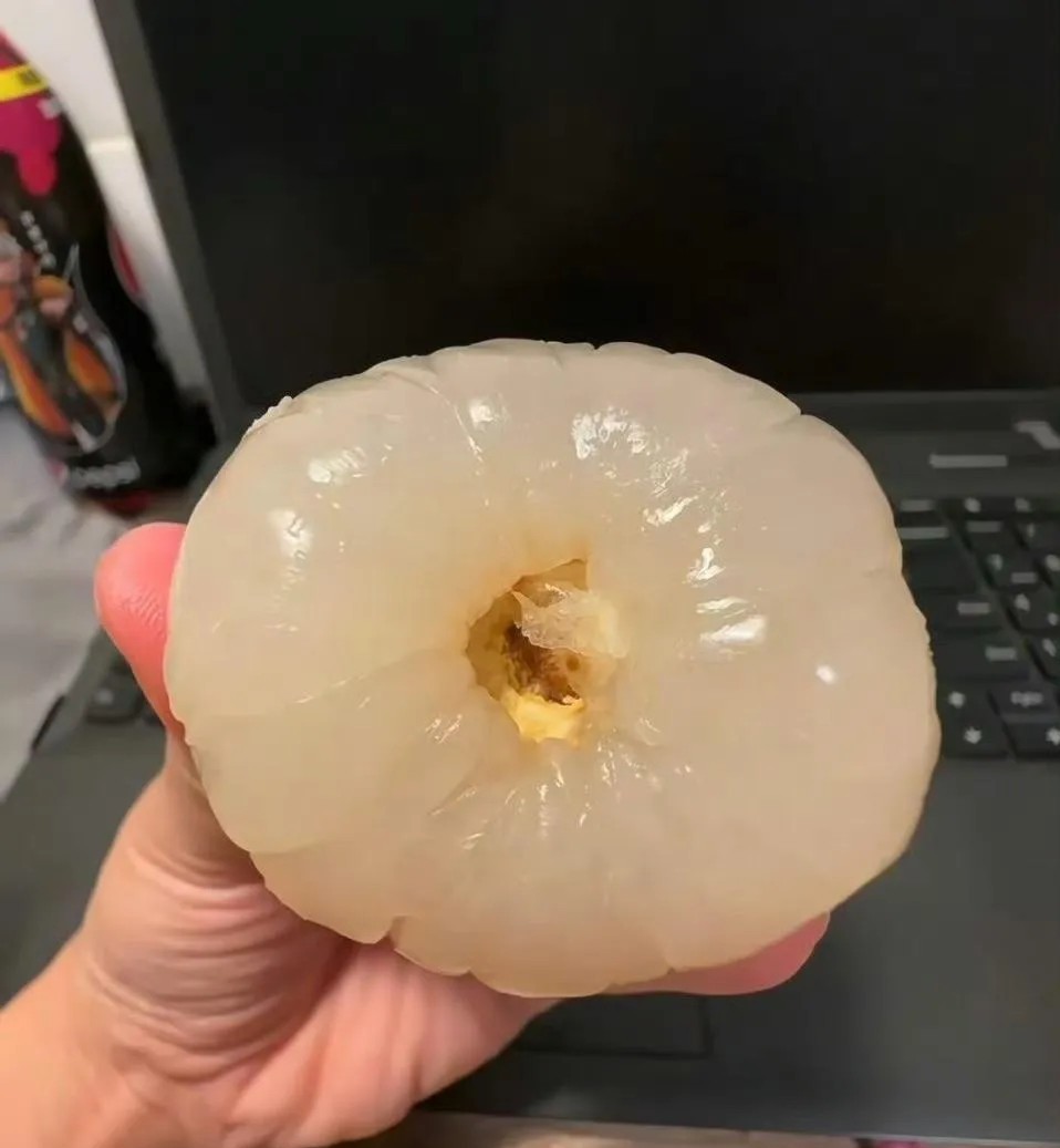 听贾冰听说“一天只吃一顿饭才瘦的”，所以今天决定开始减肥,一天只吃一个荔枝，看看