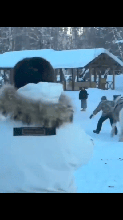 太吓人了，原来被马拖着走是这个样子，马还会因为害怕，想甩开负担，用后蹄子使