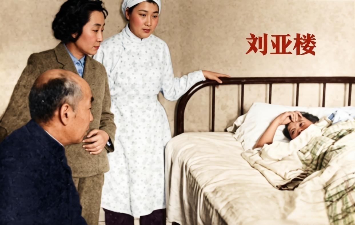 一九六四年八月，刘亚楼以空军司令员的身份，随李先念副总理出访罗马尼亚。途中他腹泻