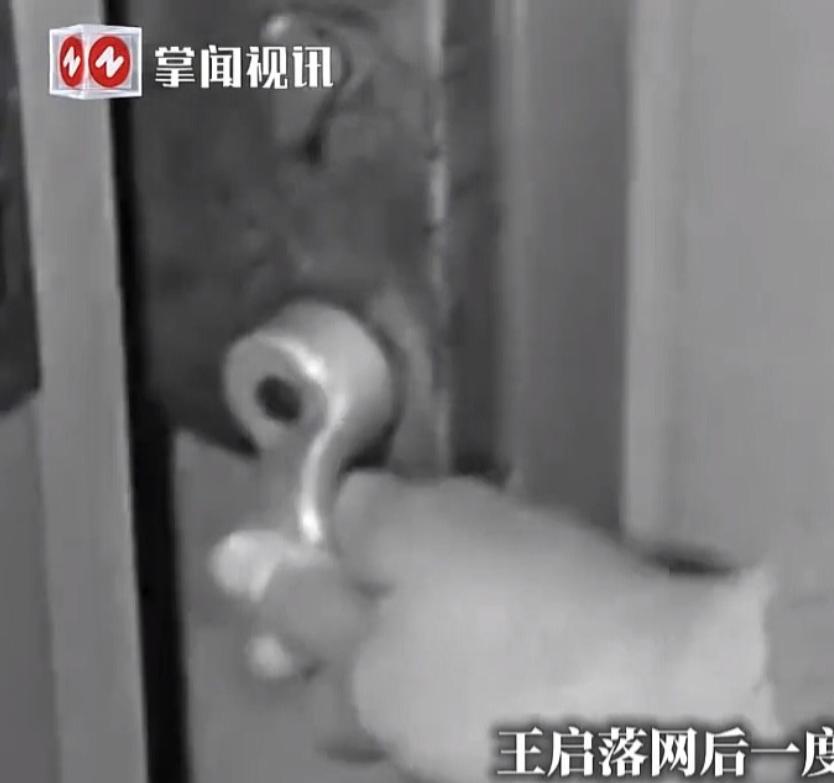 陕西汉中，男人伪装物管人员闯入女子家中抢劫，期间把她绑起来脱掉衣服，逼迫她做出羞
