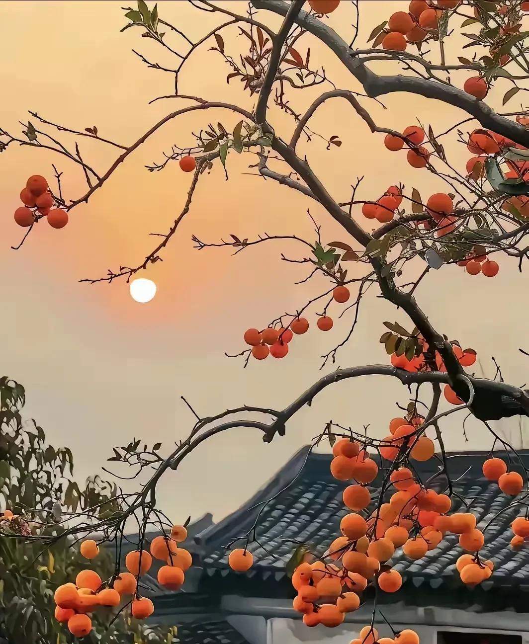老婆酷爱打麻将，昨天打了一下午，晚上接着又打到11点回家。丈夫说：你怎么又打这