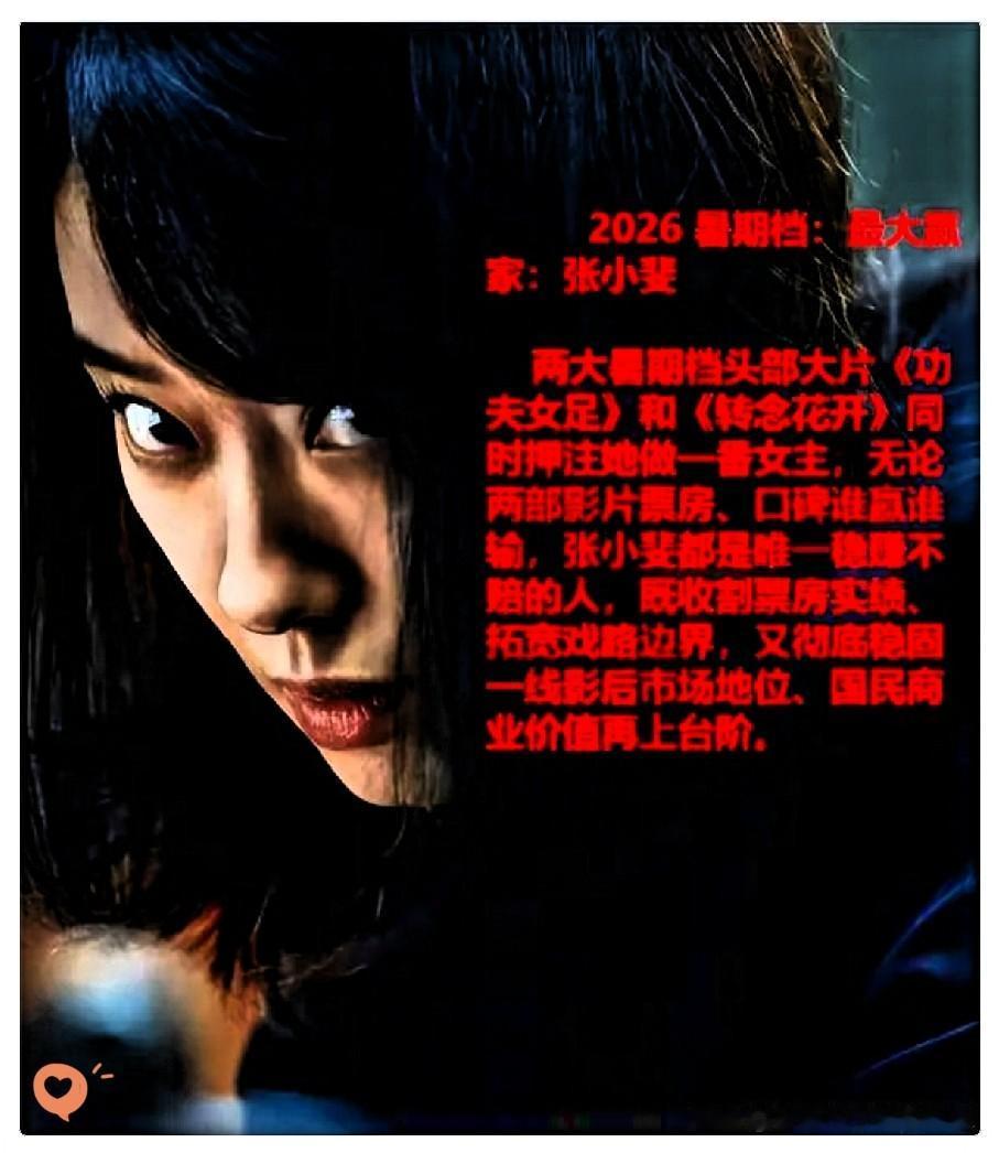 张小斐签订《功夫女足》零片酬。零固定片酬≠没有收入，她签订的是票房阶梯分成协议：