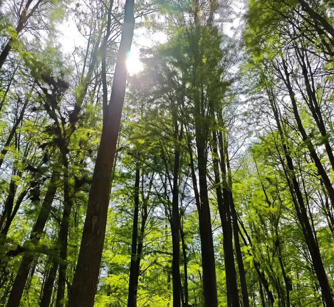 在驾校学车时碰到个五十左右的大叔，他被老婆管得特别严。科一到科二考了好多遍，都不