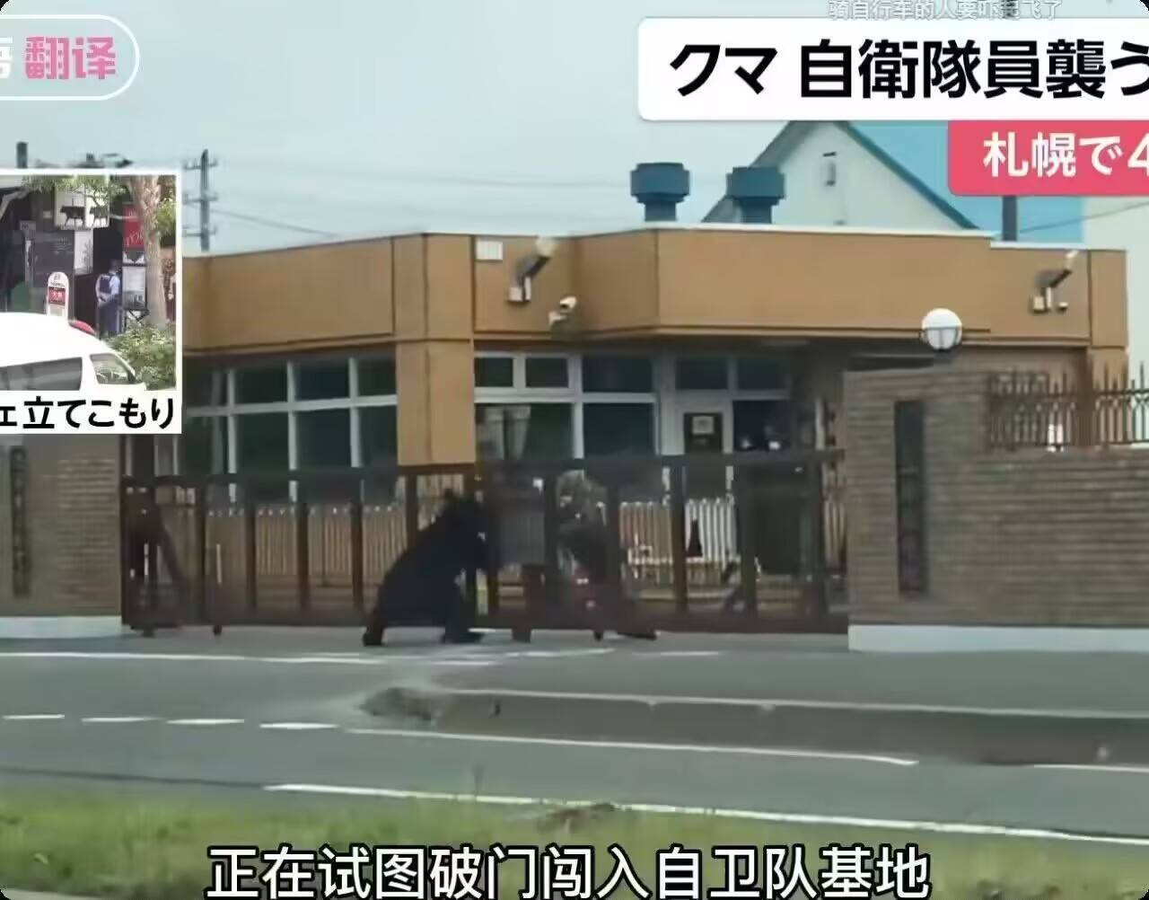 熊大，你记一下，我做如下部署调整：以棕熊1师，棕熊3师，加两个黑熊师，强化美浓防