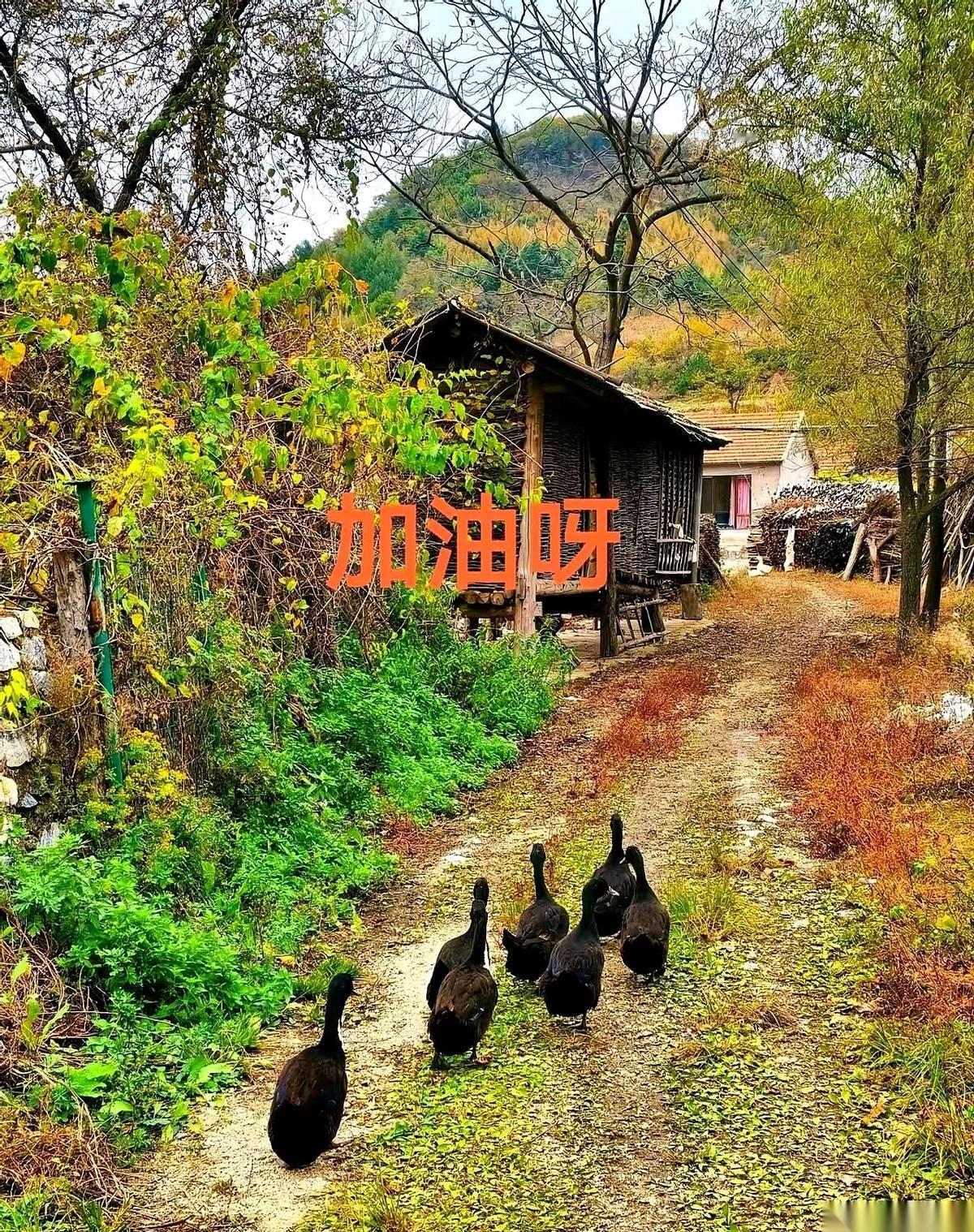 一道数学题，28楼。妈妈一句“我对你失望透顶，再也不想见到你”，孩子就真的，再