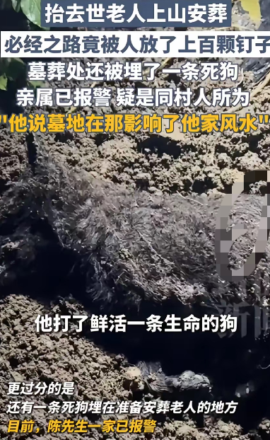 重庆，老人去世，家人准备将遗体安葬在自家地里，谁料，安葬必经路上，被人放了100