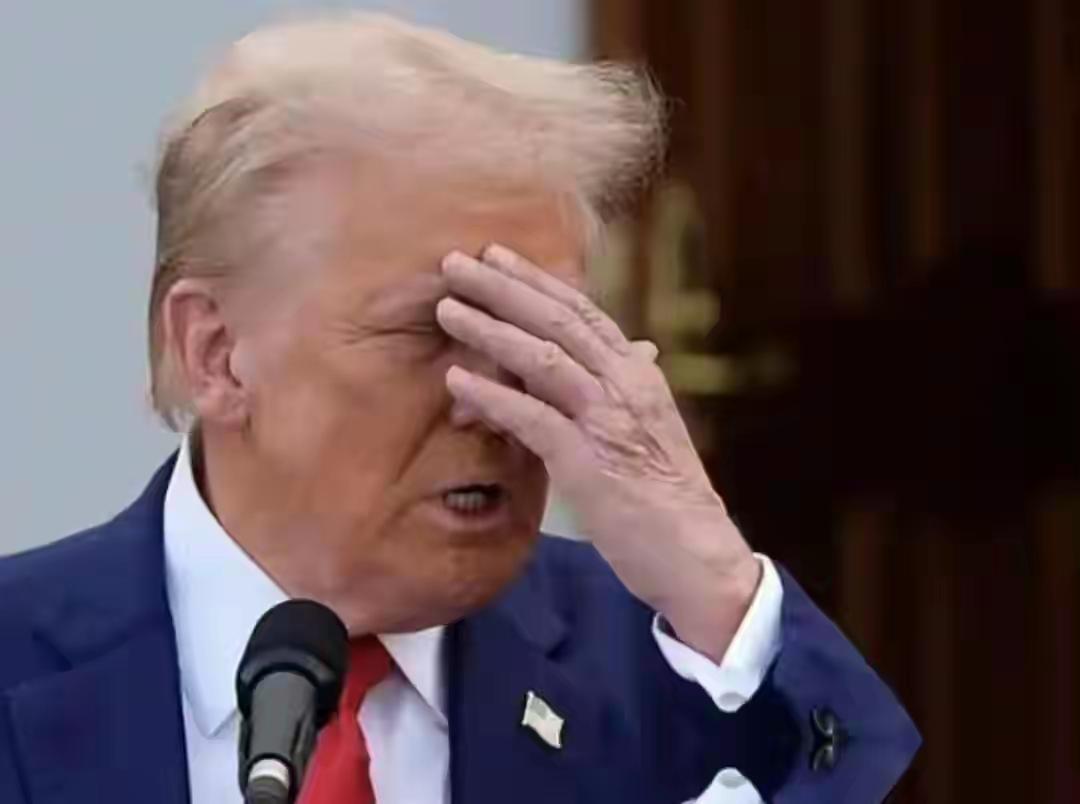 特朗普这是打算赖在中国不走了？今天他的专机又运来冰箱、床铺等日用品，摆出一副“不