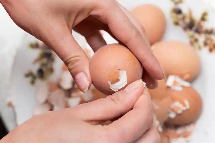 每天一个鸡蛋错了？医生再三建议：过了66岁的人，鸡蛋应该这样吃李大爷今年已经