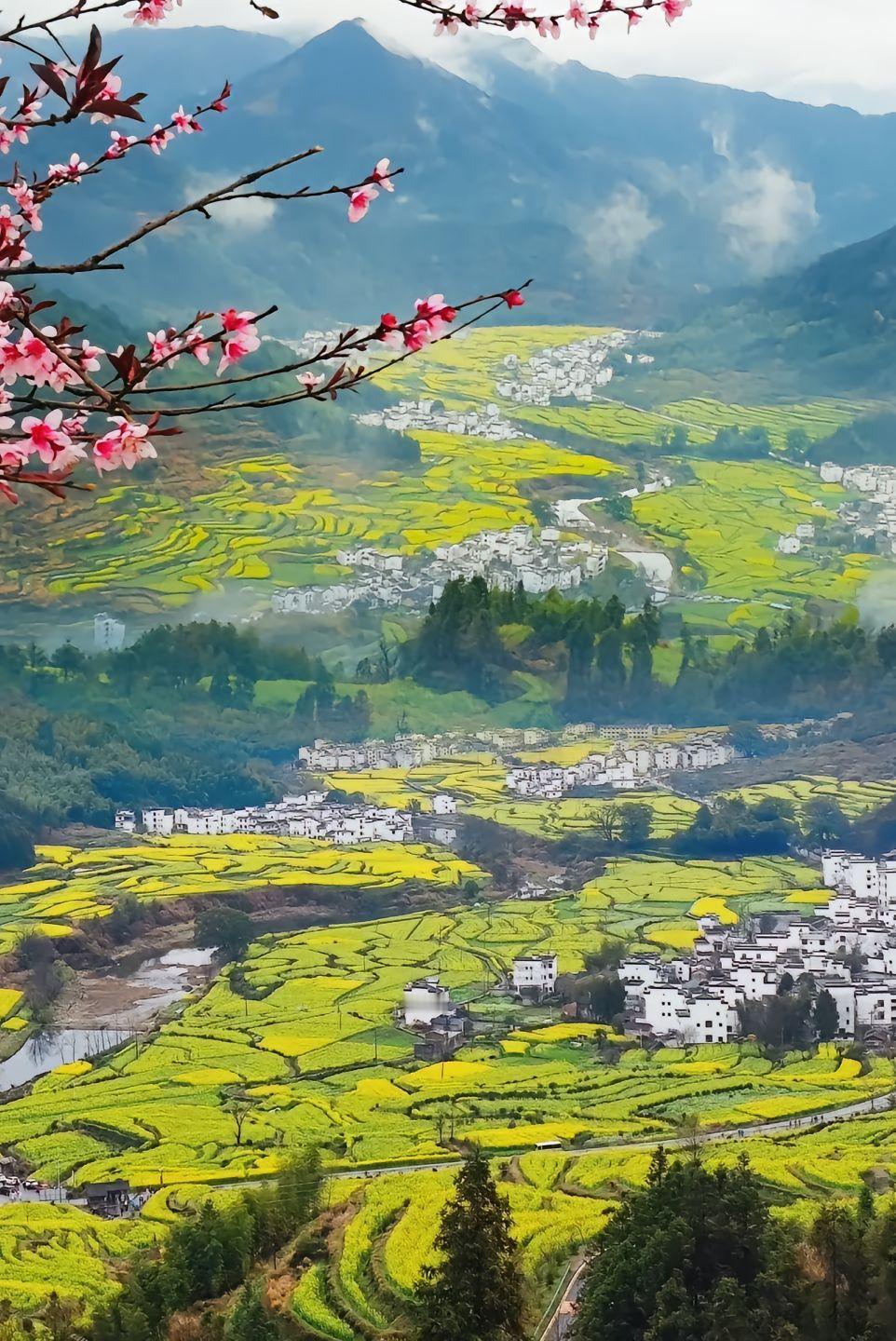 刚刚看到了又有一个培训机构爆雷了，现在培训机构做大基本上都没有希望，首先，经济形