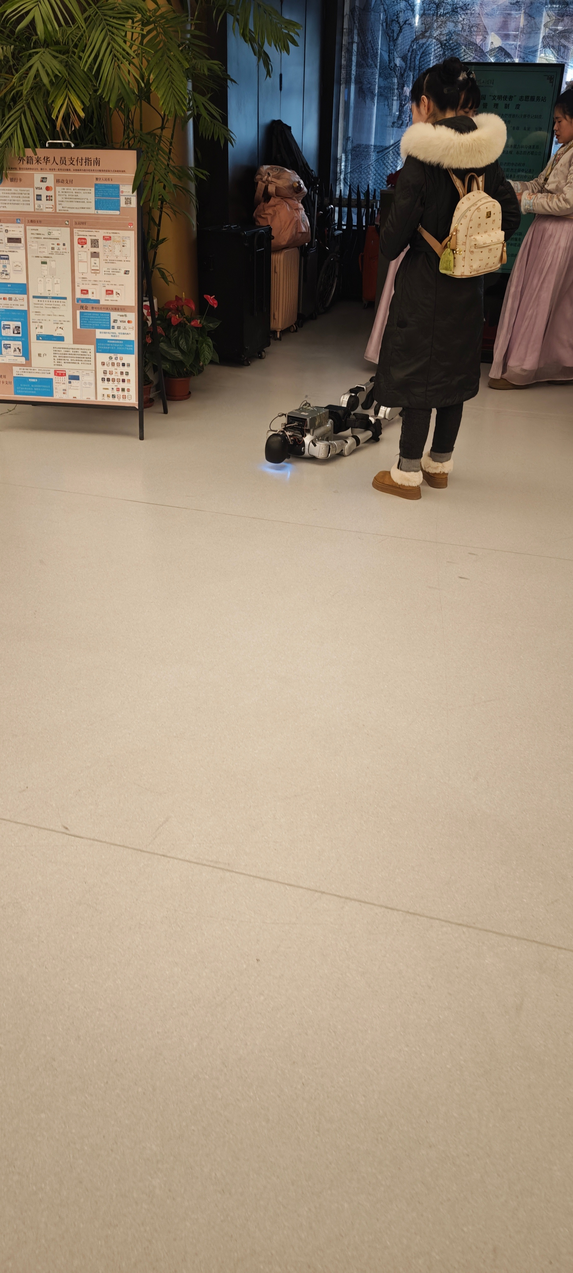 起来，这儿不能睡！