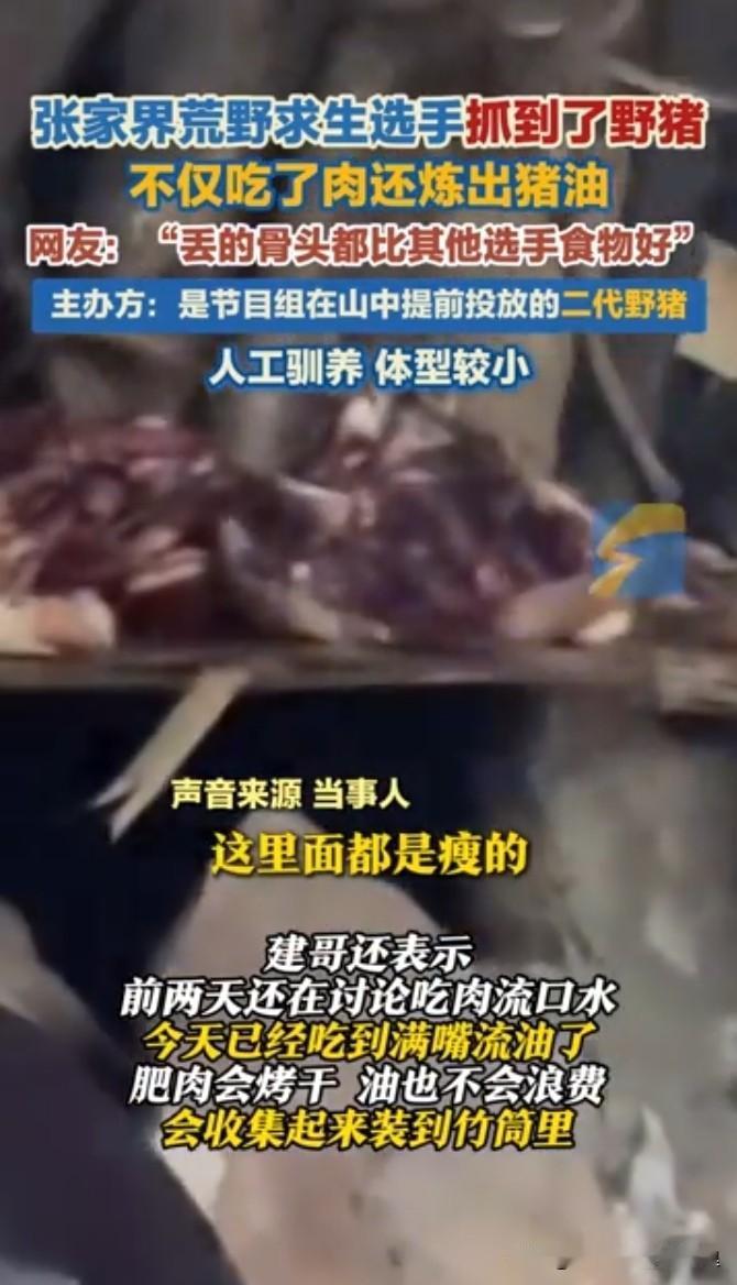 11月8日，湖南张家界七星山荒野求生赛激战正酣，进入第31天时仅余17名选手顽强