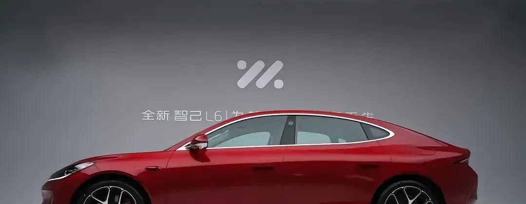 一觉醒来，车圈全炸了!财政部刚刚公布了2025年新能源车的补贴新政策:买15