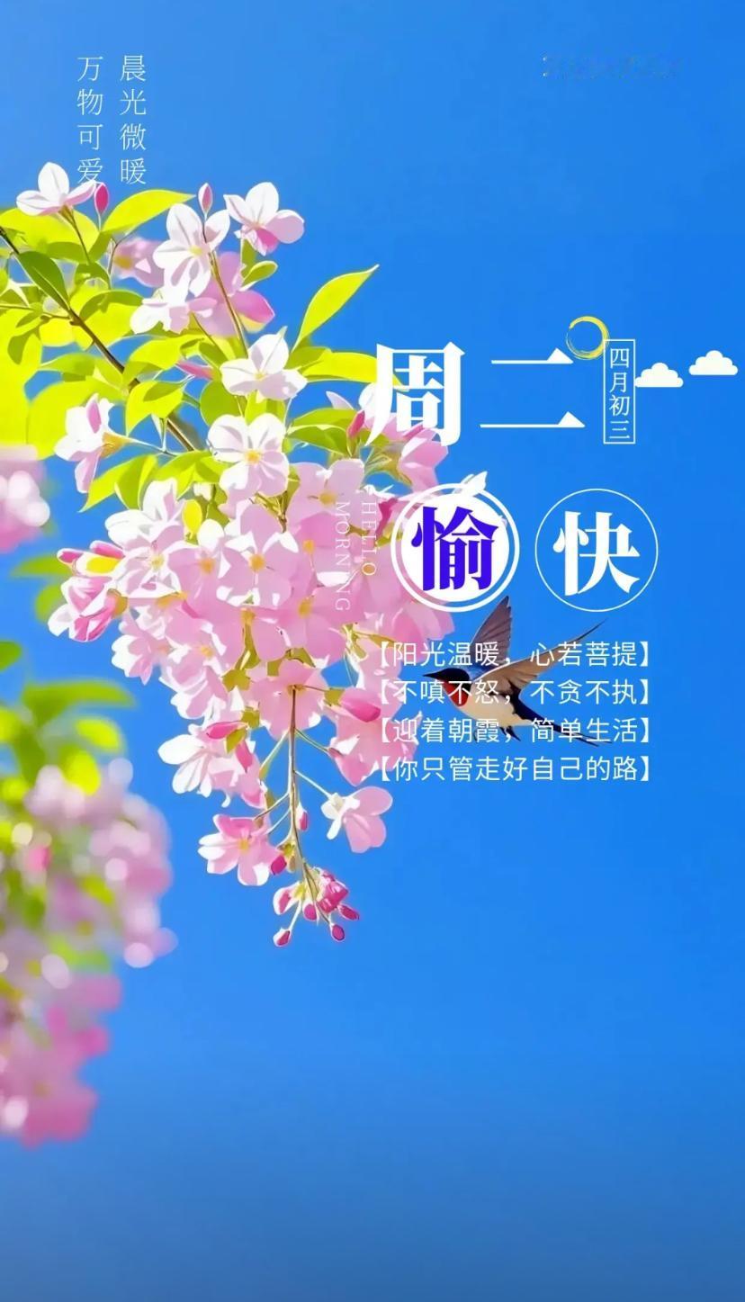夏晨问安，风拂初夏，烟火暖融，人间福满长安。2026./5.19.[