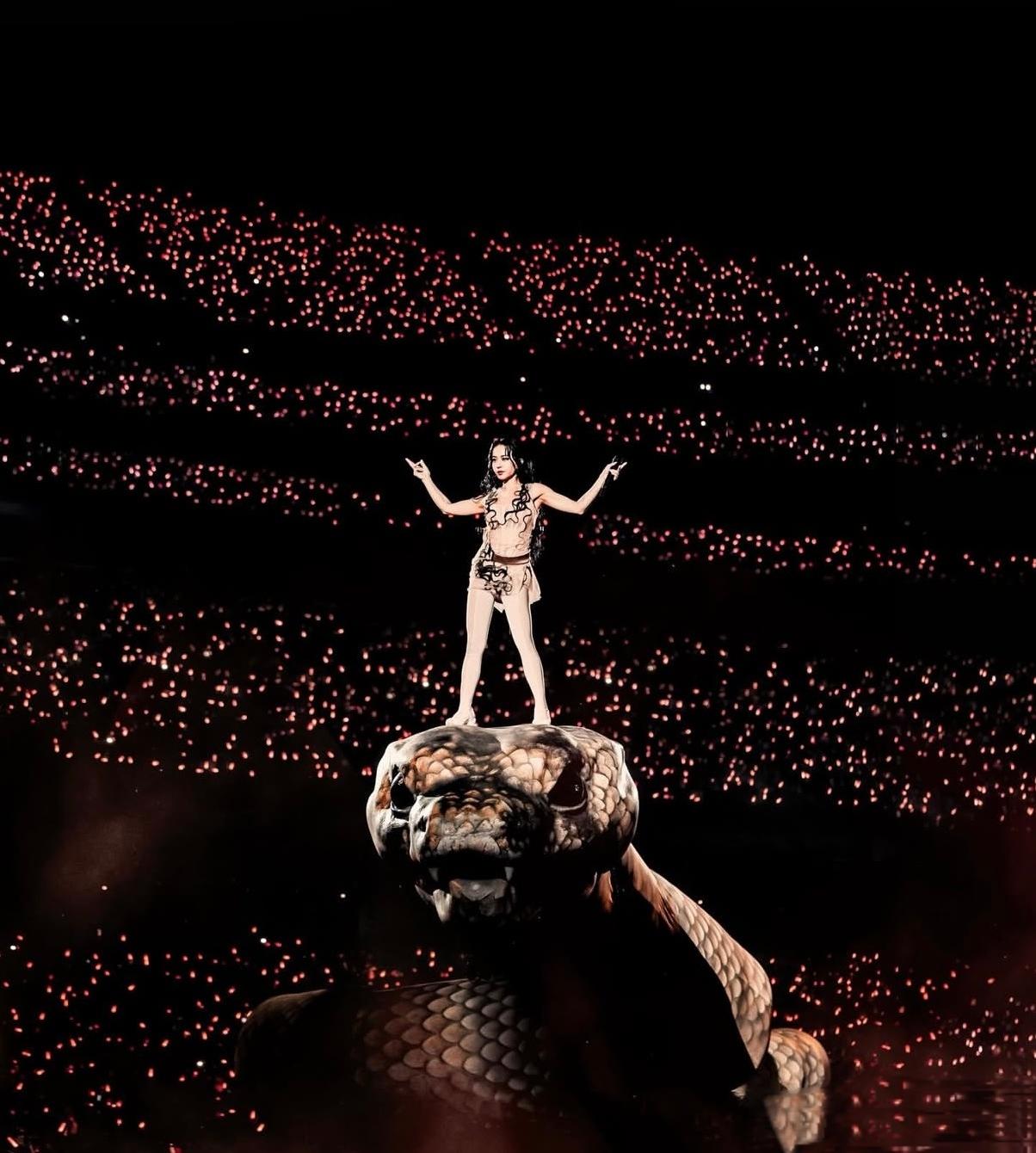 蔡依林演唱会：从争议到“牛市”的别样旅程2026年初，蔡依林演唱会可谓话题不