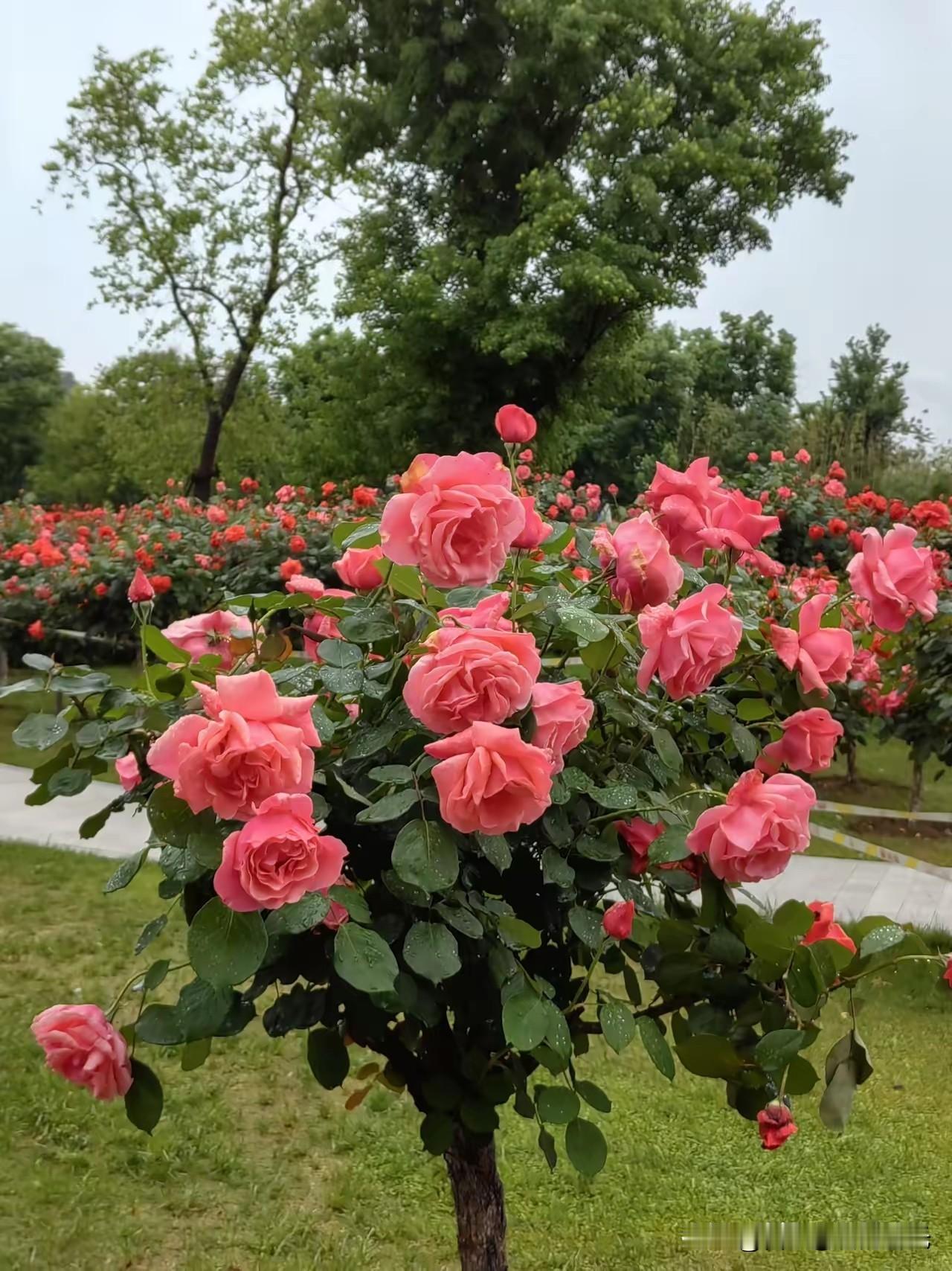 《金刚经》云：凡所有相，皆是虚妄；一切有为法，如梦幻泡影。这说的是“万法皆空”；