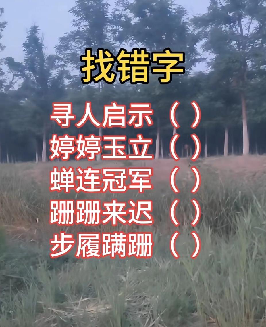 找错字挑战！这5个词，你能全对吗？