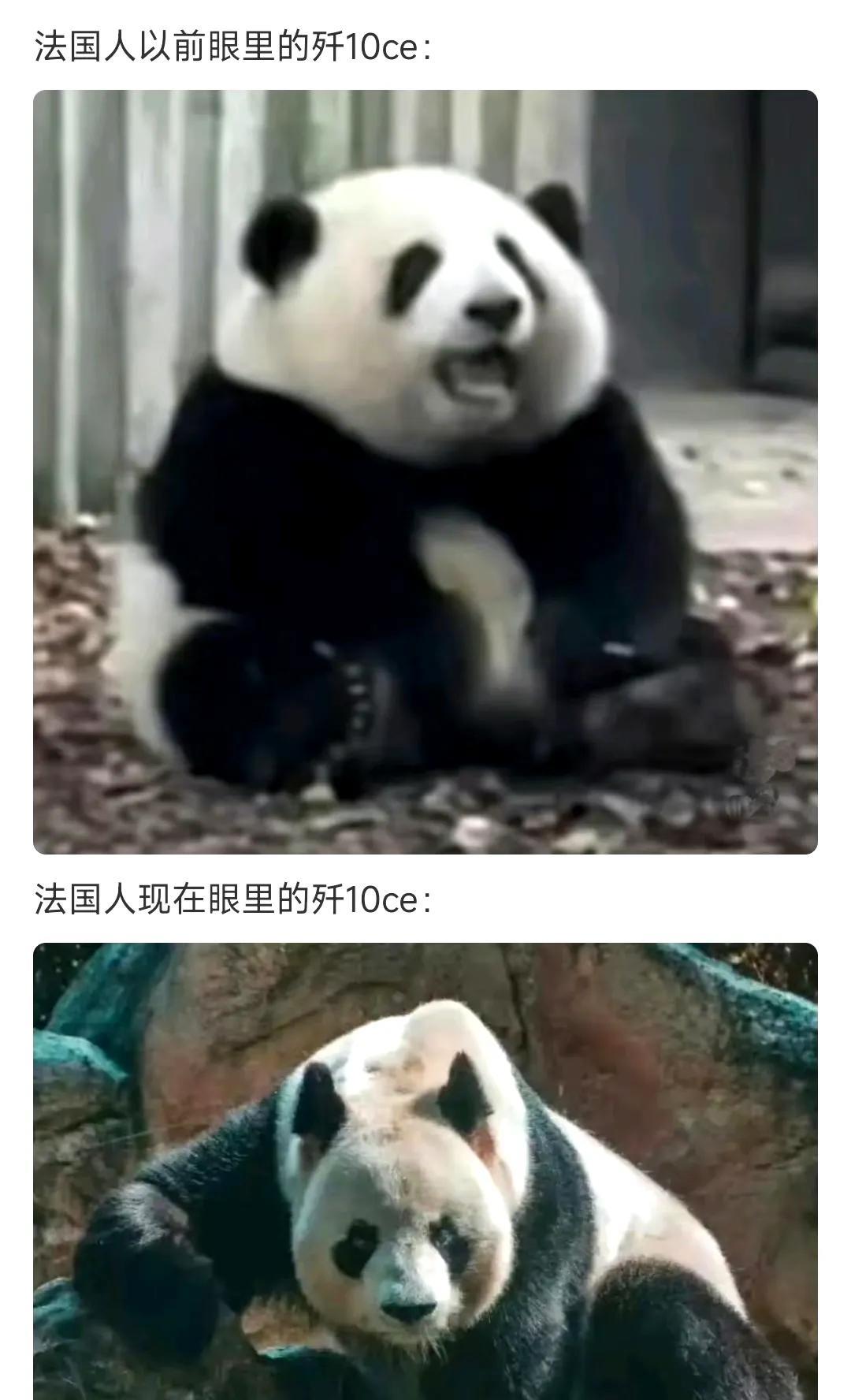 以前法国人眼里，歼10C那是被他们疯狂贬低。法媒频繁造谣，说它是“纸老虎”，是“