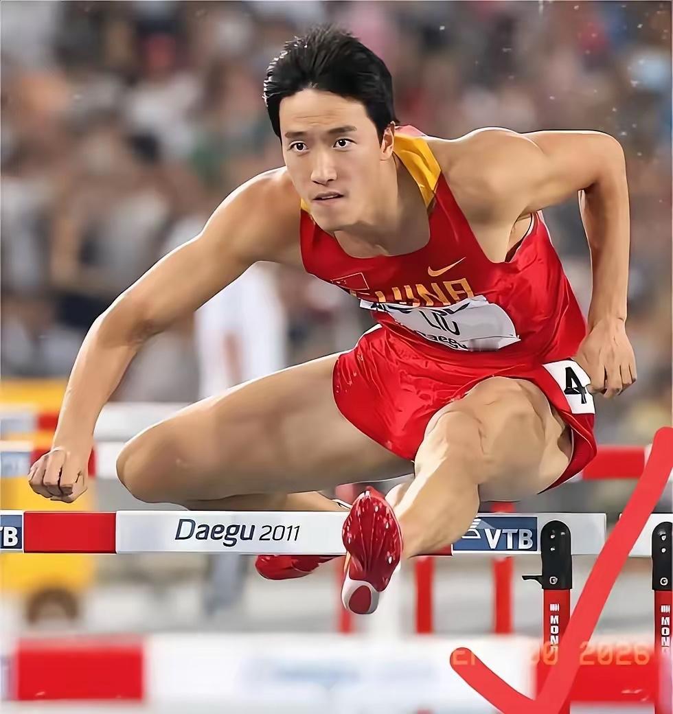 刘翔晃荡了这么些年现在才理解他的处境…被一些“喷子们”喷的最惨的刘翔有多少