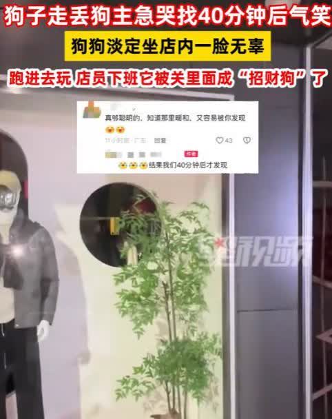 重庆，女子晚上出来遛狗，没想到狗子居然走丢了，狗主人发现狗子丢了以后就着急含泪找