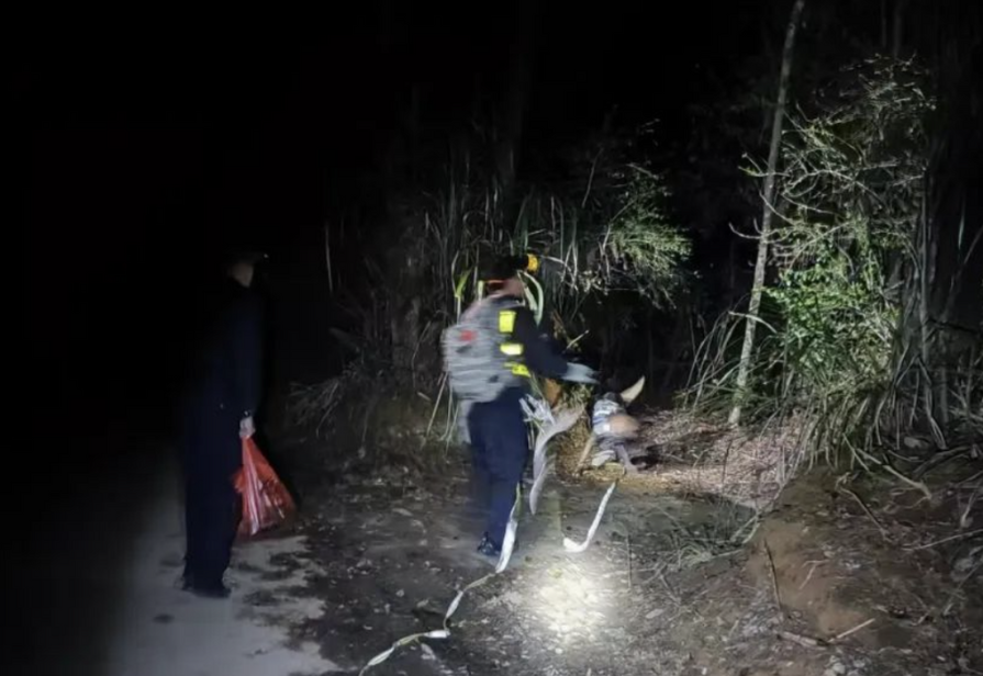 “太可怜了！”近日，江西一8岁女童带着自己4岁弟弟，拿着零食和手电筒离家出走。孩