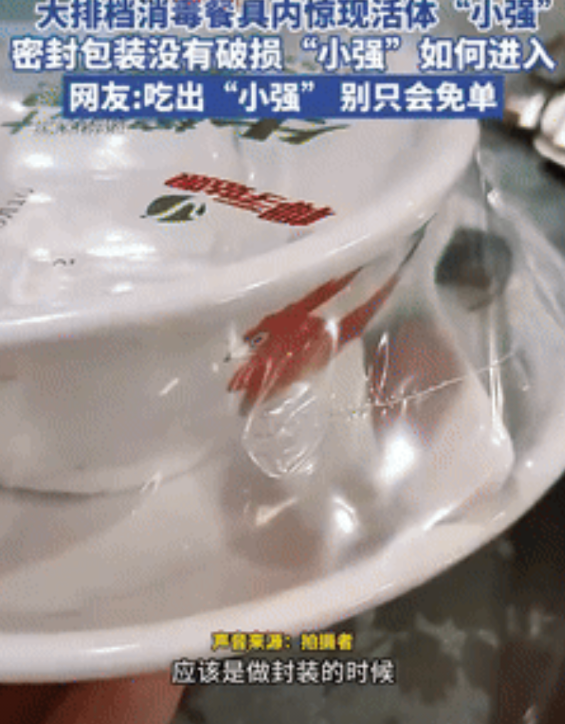 “开水烫碗”的含金量还在上升！广东，男子去餐厅吃饭，不料准备拆开餐具时，却看到恶
