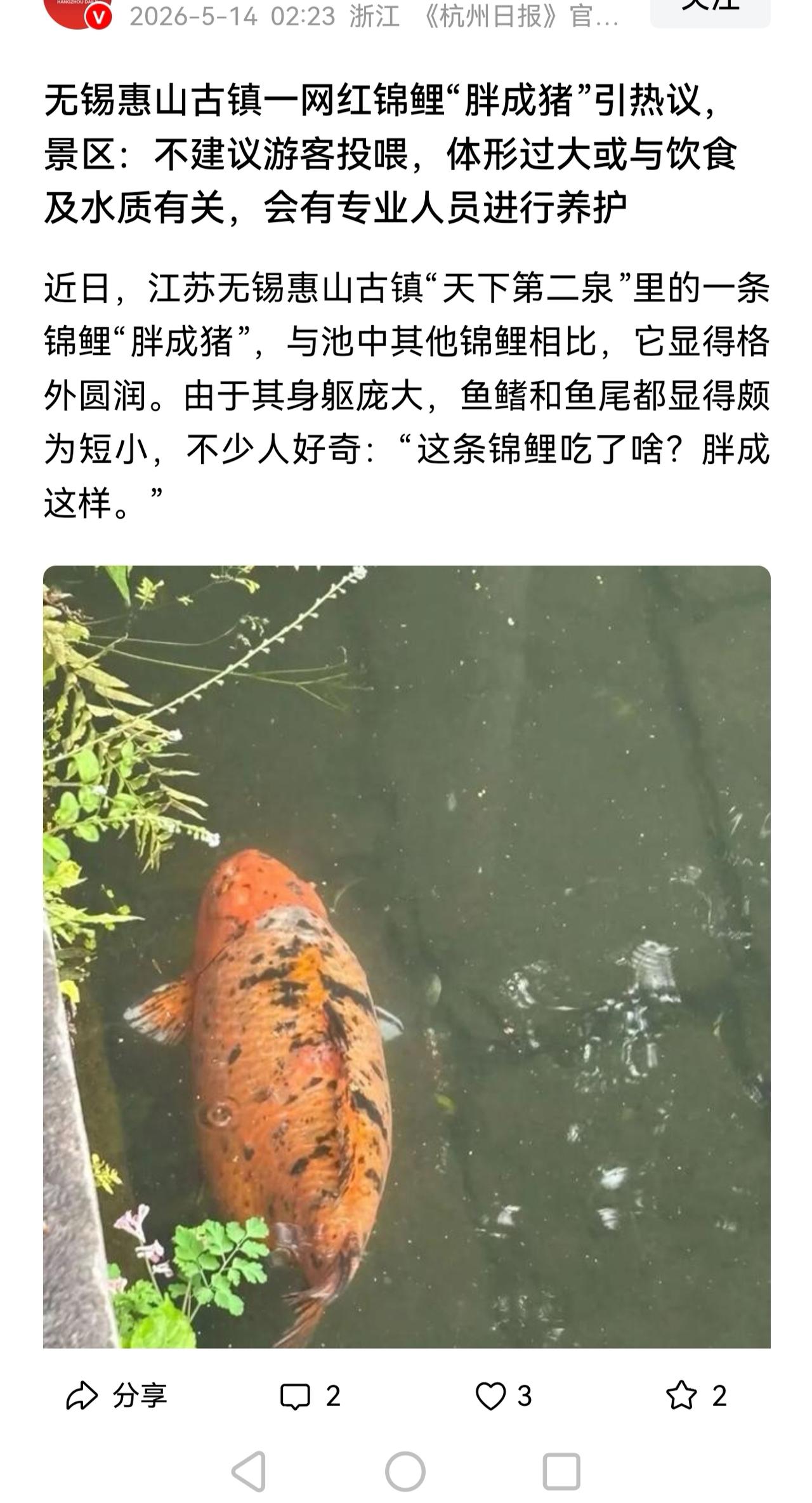 在中国鱼的营养都过剩了，汉唐盛世啊[抠鼻]