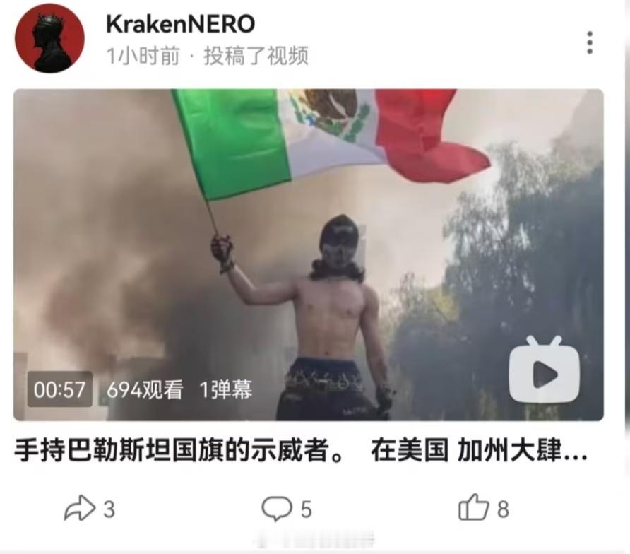 讲个笑话：泥路大佐分不清墨西哥和巴勒斯坦国旗。😅​​​