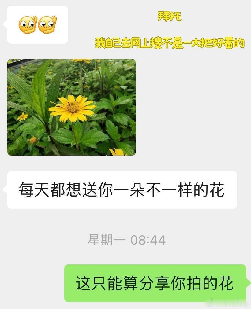 拒绝了廉价的喜欢​​​