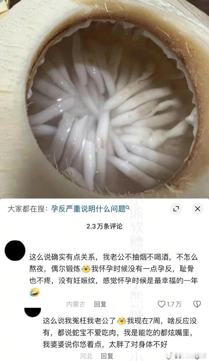 女性冷知识……孕反或许与小蝌蚪的质量有关