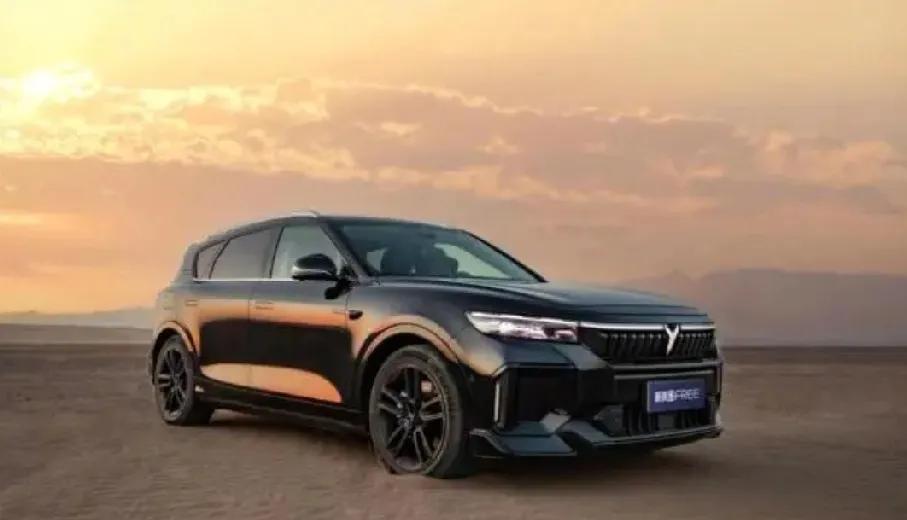 现在买SUV这样买：60万——问界M9。50万——理想L9。40万——腾势