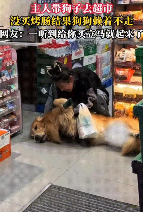 笑不活了！上海，女子带狗狗去超市，只因准备走的时候没给它买烤肠。结果狗狗直接躺地