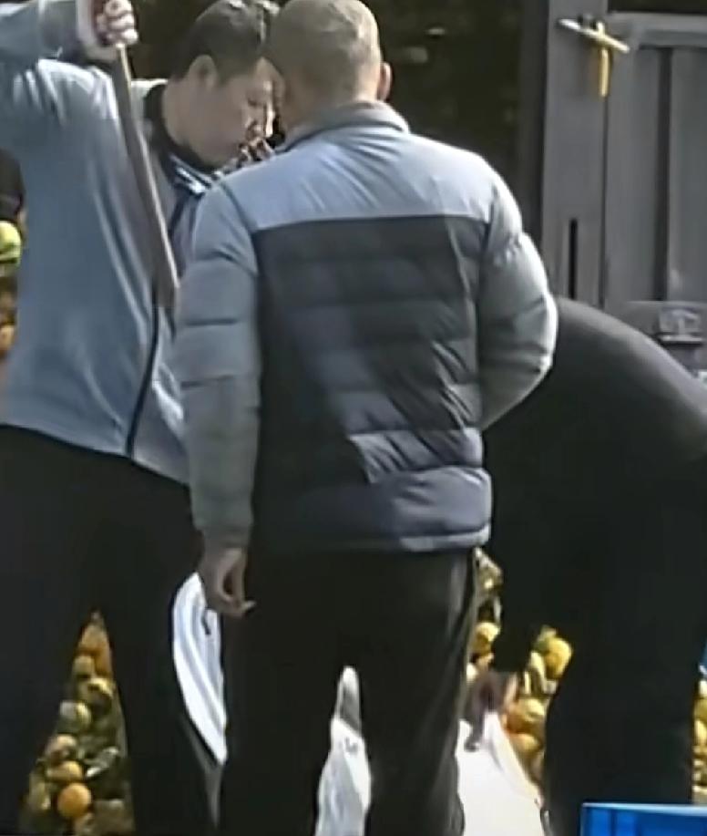 东北人做事就是豪横一外地游客在辽宁大连旅游的时候正好碰到路边有卖橘子的于是就