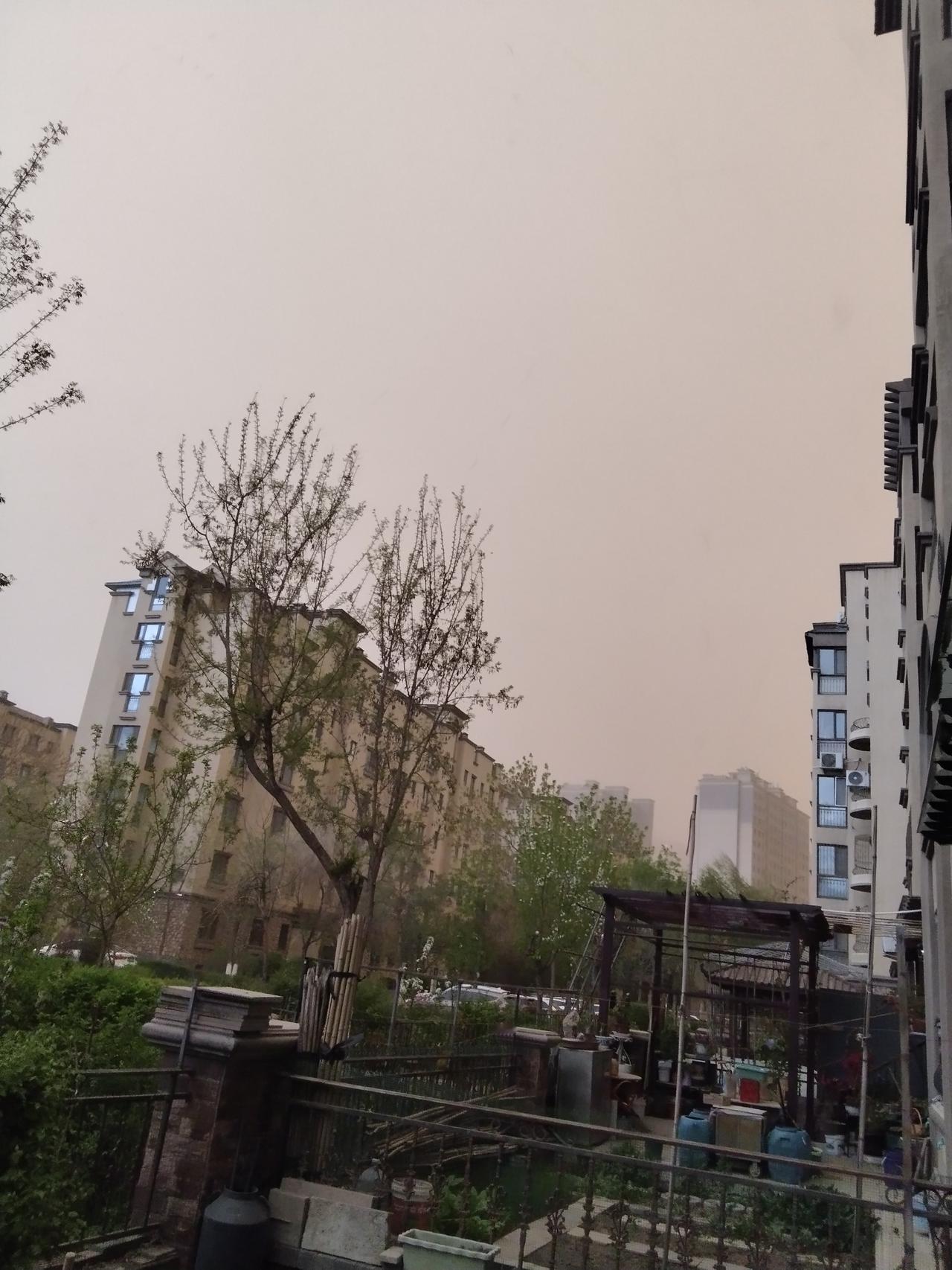 我所遭遇到的沙尘暴和狂风暴雨昨天晚上19点36分