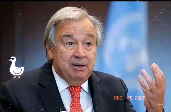 果然不出我所料中国这一手“回马枪”，杀得那是相当讲究。就在今天，北京和纽约