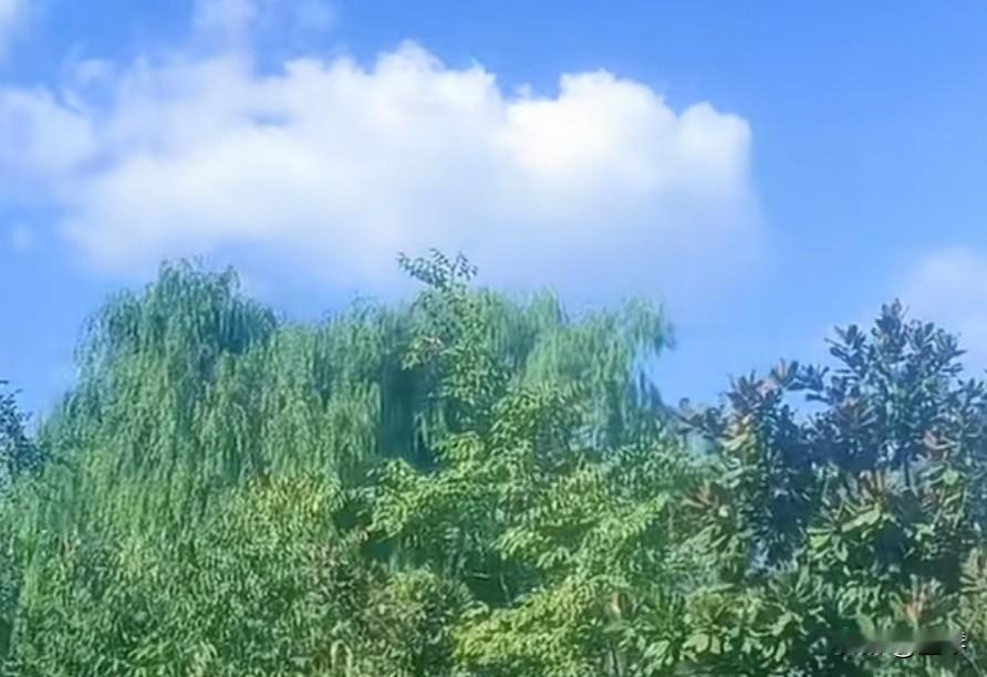 你信吗？人性大多数时候都是只站在利益这一边的。很多人说人性本善，可经历