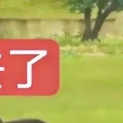 0000甘蔗种植是一个复杂的过程，涉及多个步骤和注意事项。以下是一些基本的甘蔗种