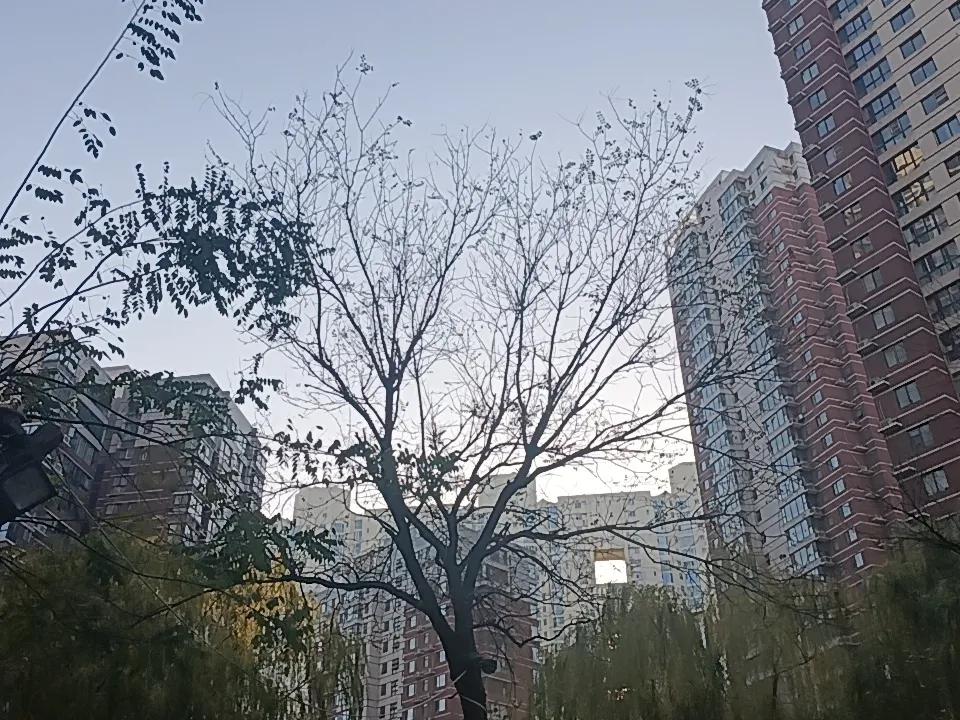 早上扫了眼酒平台批发价，53度500ml飞天茅台，终于跌破了1600元，参考报价