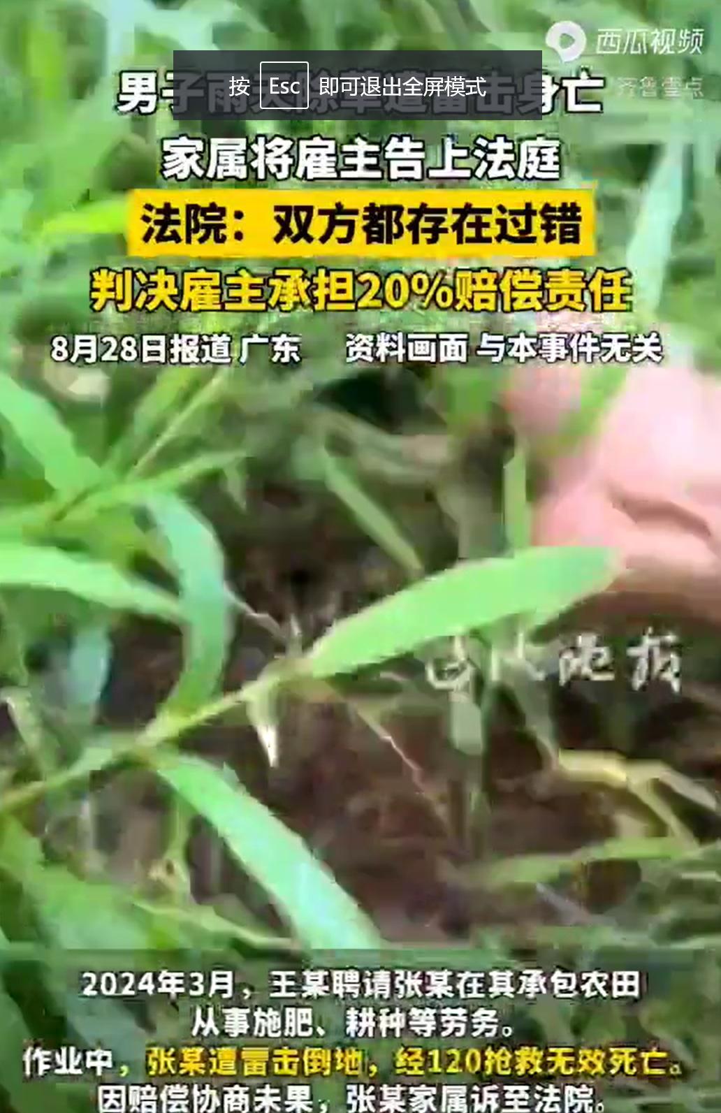 广州，一男子受雇在农田干农活，劳作途中，天色大变，雷声滚滚，男子及工友们互相张望
