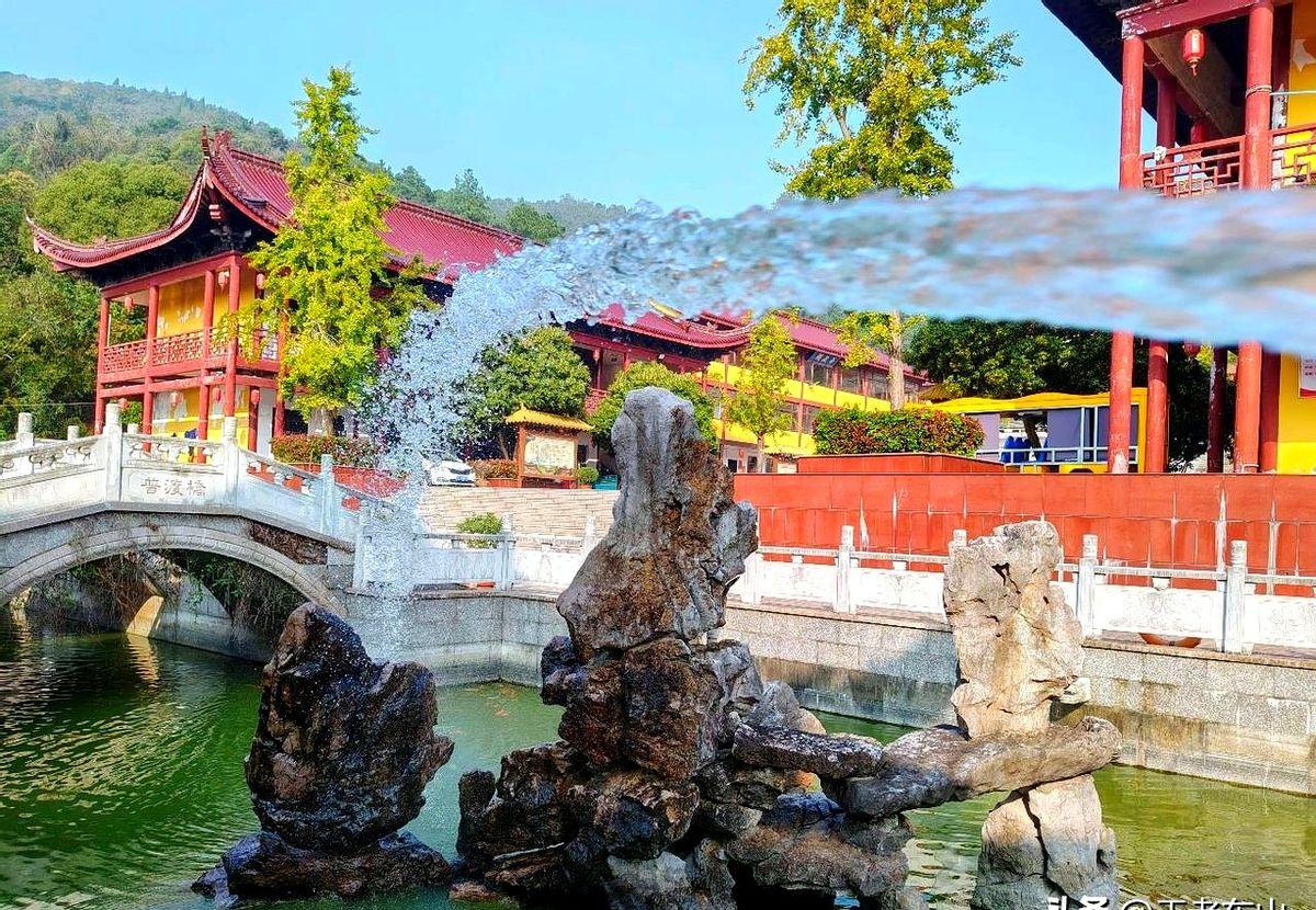 我会毫不犹豫地选择山东大学。其计算机科学专业的实力远超厦门大学。虽说厦门大学