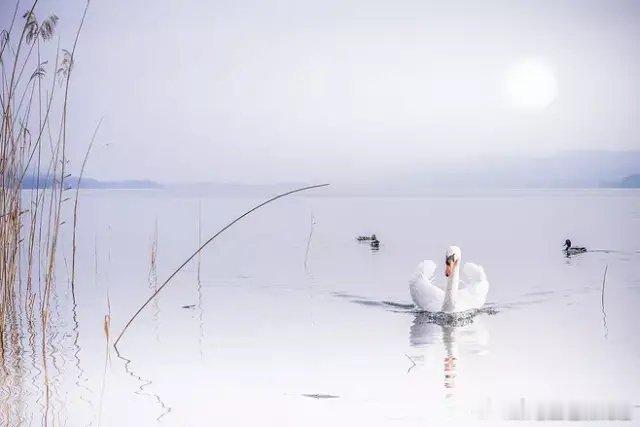 阴气缠身久了：面相阴沉，瘤子滋生——老祖宗的话，真不是迷信！小时候，老师总说神明是古人编出来管束人的