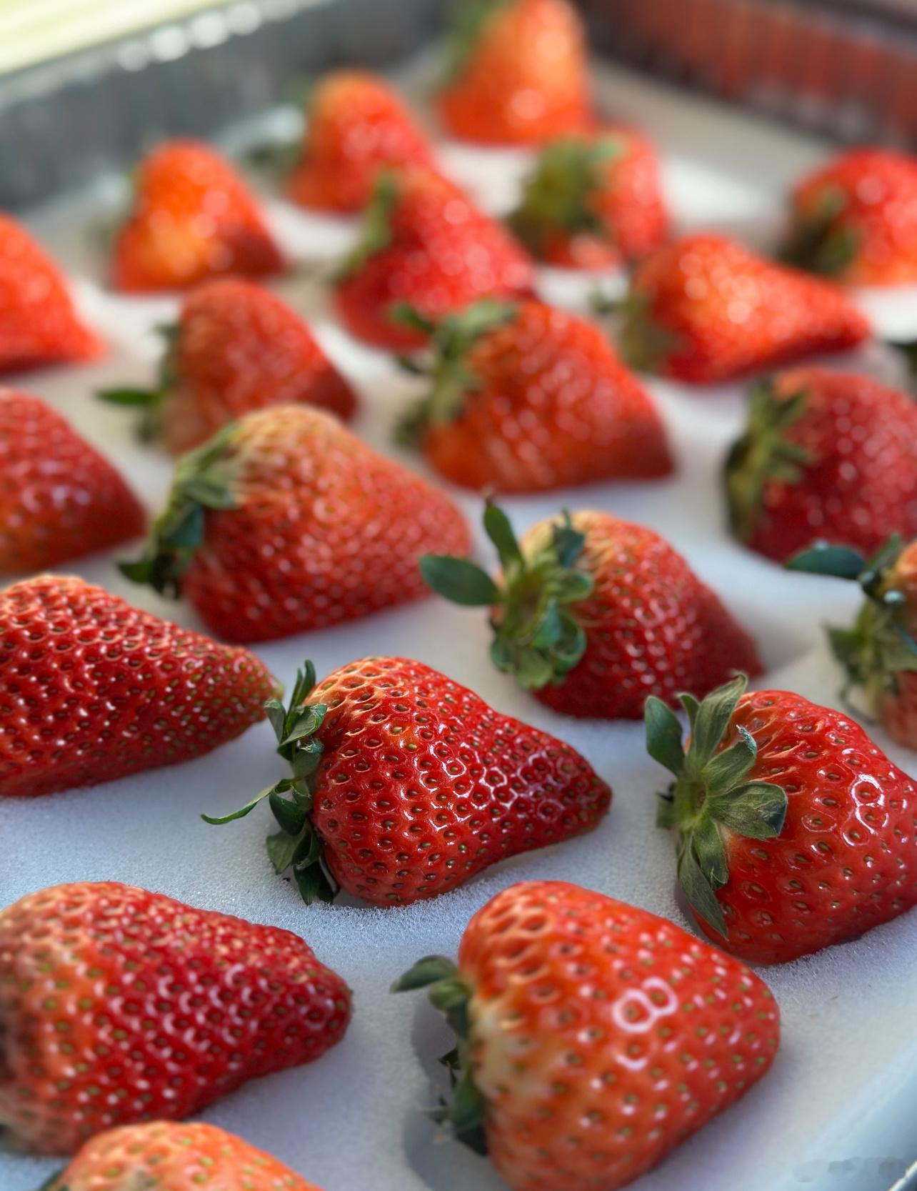 刘宇宁送的丹东大草莓我。一。点。也。不。羡慕