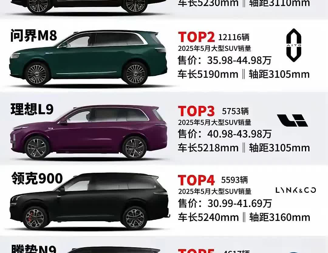 在自主品牌的大型SUV中，问界M9登上了销量榜首，问界M8位列榜二。这两款车售价