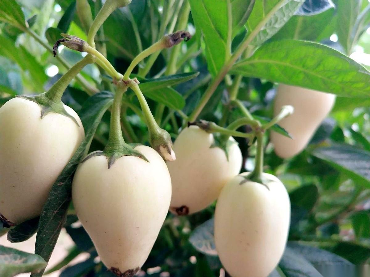 四月，有几个生肖的牌桌，要被彻底洗一遍了。第一个就是属牛的。之前那种处处碰壁、