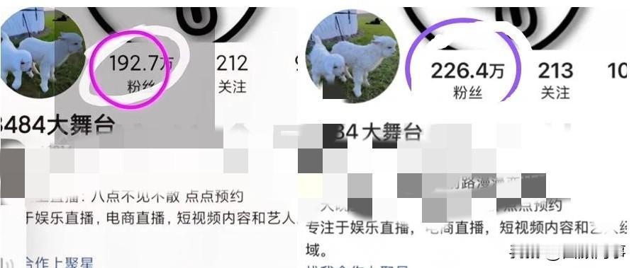 “仙家”账号以1000人/分钟急速涨粉！今天下午3时许，“
