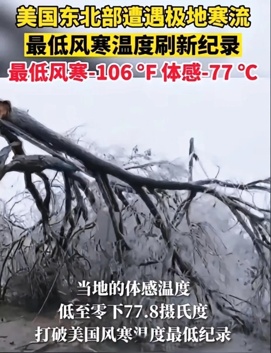 “美国这波寒潮，真的是让人后背发凉，不是因为冷，是因为那股
