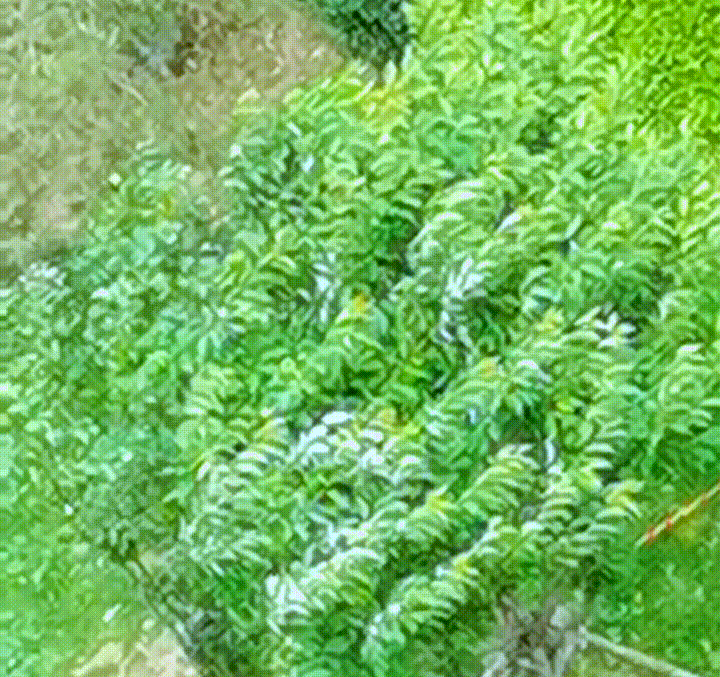 真凉快呀真凉快，实时气温17℃，体感温度14℃，这一波青岛算是赢麻了[笑着哭][