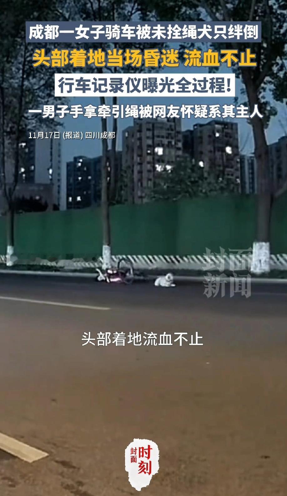 成都新都区，一女生骑着电动车正常行驶，突然路边窜出来一条白色宠物狗，女生来不及反